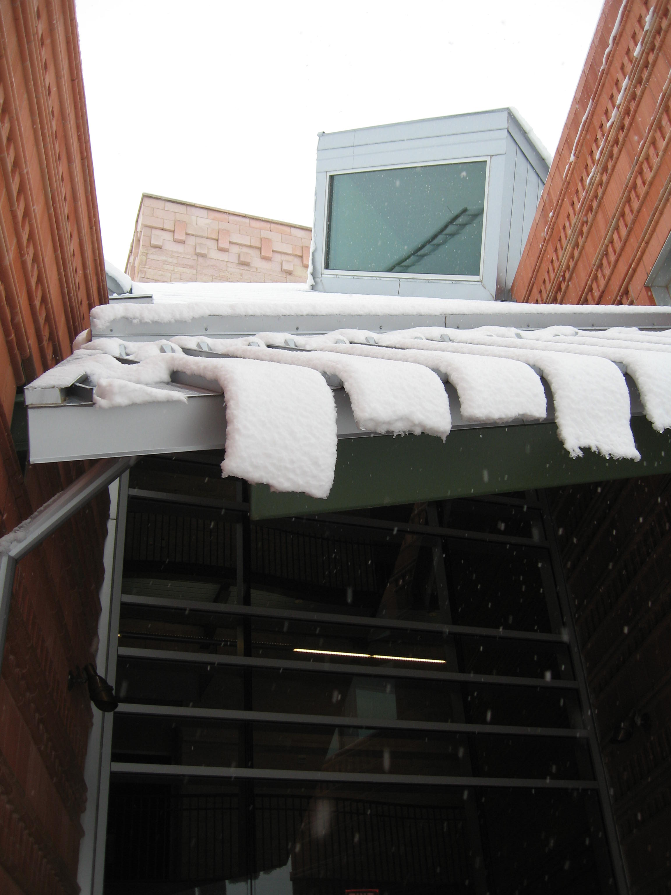 10.02.11 cedar hill snow scenes 022